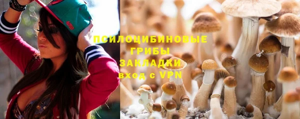 альфа пвп Краснослободск