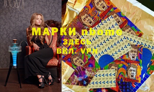 индика Краснотурьинск