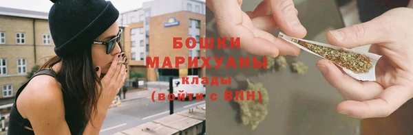 индика Краснотурьинск