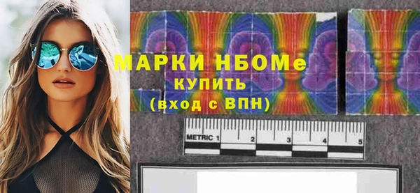 индика Краснотурьинск