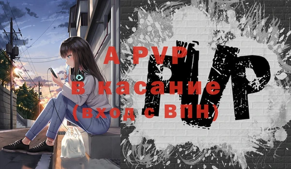 индика Краснотурьинск