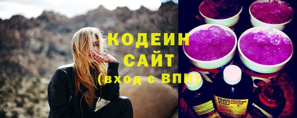 индика Краснотурьинск