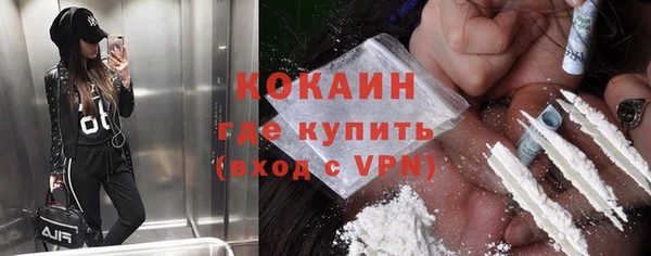 индика Краснотурьинск