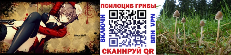 Галлюциногенные грибы прущие грибы  Купить закладки  Катайск 